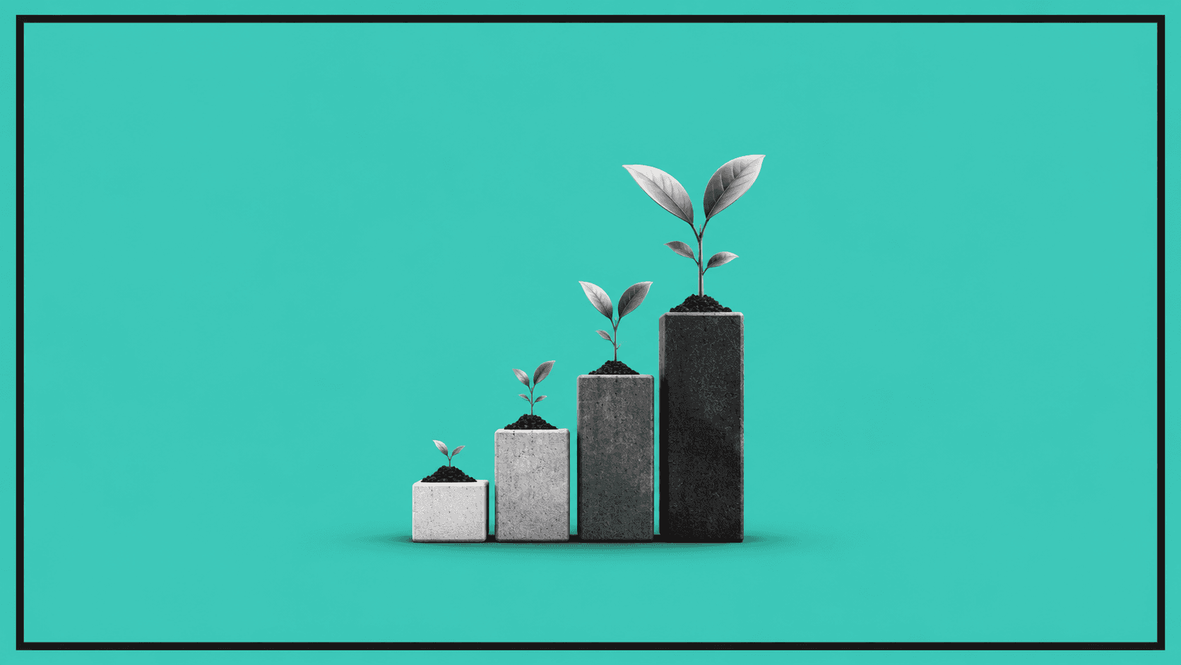 Early-stage build imagery